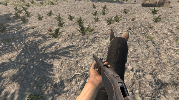 Sierra Madre: The Wild West screenshot 4
