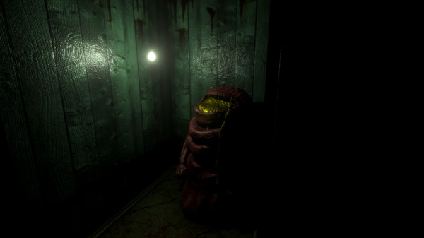 Timore 6 screenshot 2