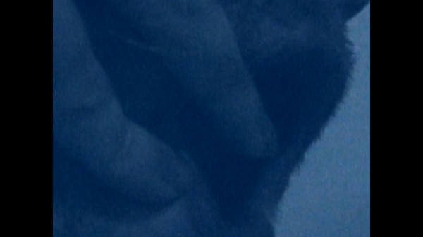 HORSE screenshot 6