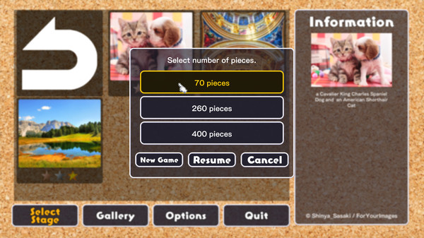 Jigsaw Masterpieces screenshot 2