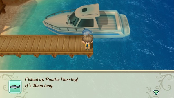STORY OF SEASONS: Friends of Mineral Town screenshot 5
