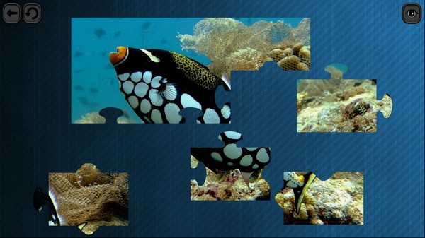 Puzzles for smart: Underwater Kingdom screenshot 3