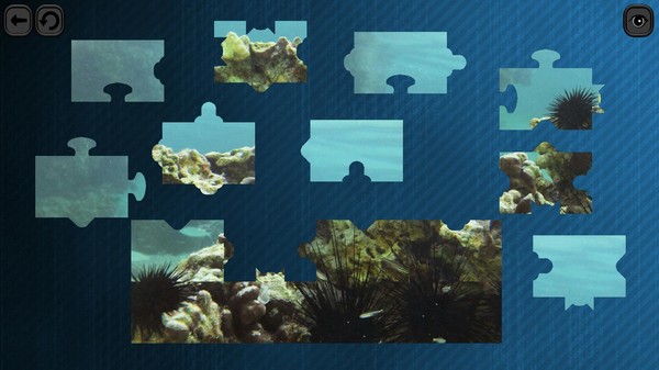 Puzzles for smart: Underwater Kingdom screenshot 5