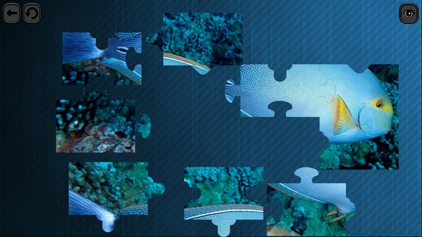 Puzzles for smart: Underwater Kingdom screenshot 2