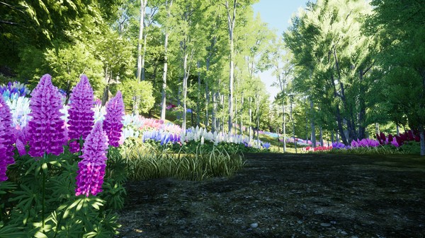 Nature Hunter screenshot 1